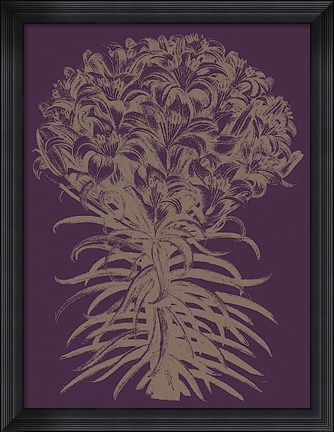 Framed Lilies 13 Print