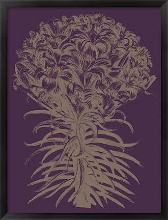 Framed Lilies 13 Print