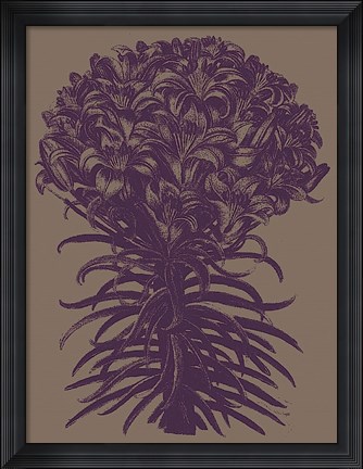 Framed Lilies 14 Print