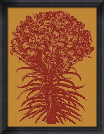 Framed Lilies 15 Print