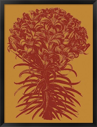 Framed Lilies 15 Print