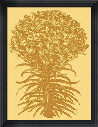 Framed Lilies 19 Print