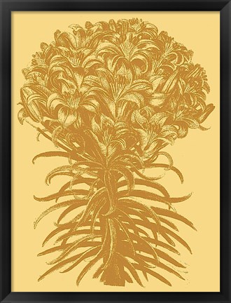 Framed Lilies 19 Print