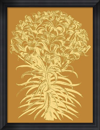 Framed Lilies 20 Print
