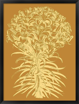 Framed Lilies 20 Print