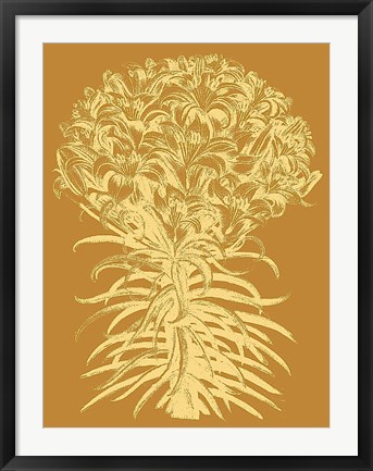 Framed Lilies 20 Print