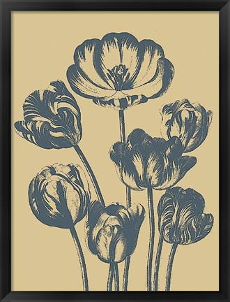 Framed Tulip 1 Print