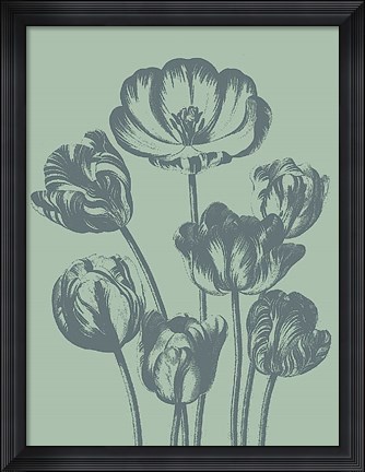 Framed Tulip 8 Print