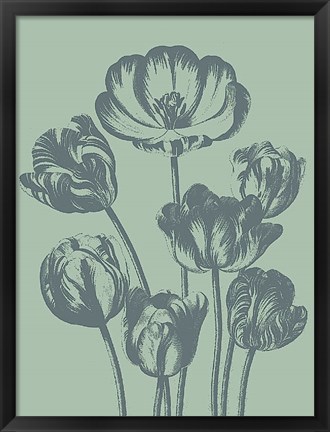 Framed Tulip 8 Print