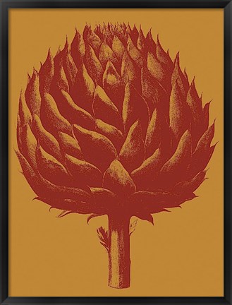 Framed Artichoke 15 Print