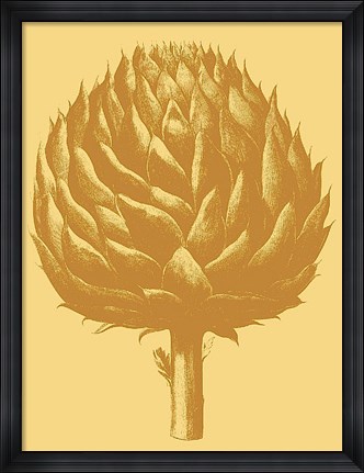 Framed Artichoke 19 Print