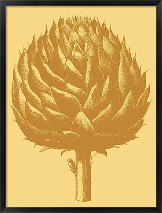 Framed Artichoke 19 Print