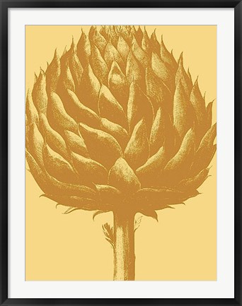 Framed Artichoke 19 Print