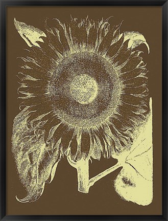 Framed Sunflower 3 Print