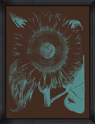 Framed Sunflower 6 Print
