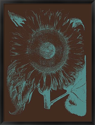 Framed Sunflower 6 Print