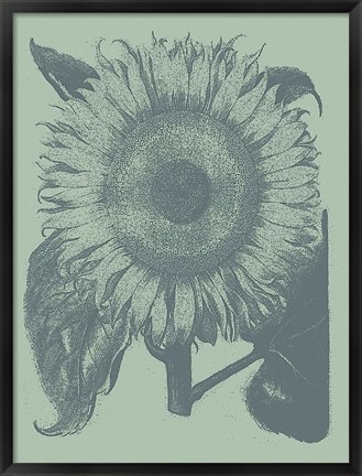 Framed Sunflower 8 Print