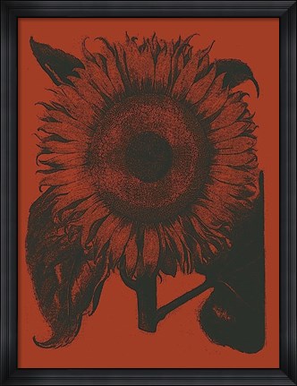 Framed Sunflower 9 Print