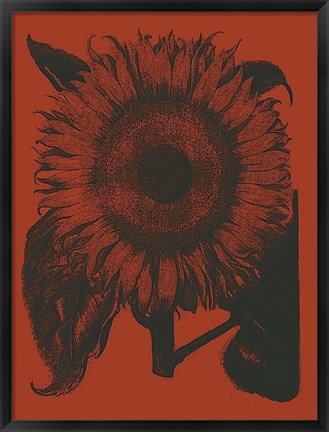 Framed Sunflower 9 Print