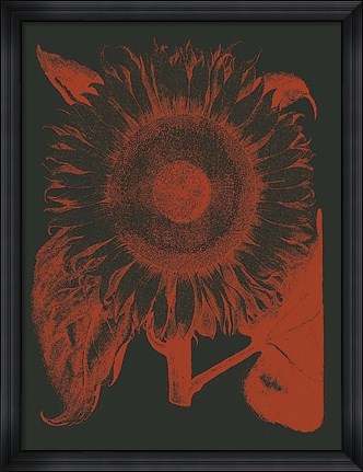 Framed Sunflower 10 Print
