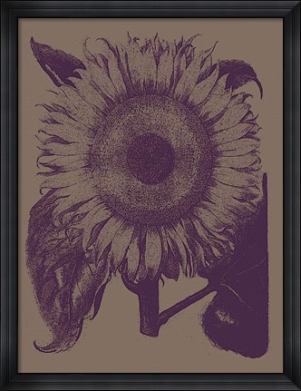 Framed Sunflower 14 Print