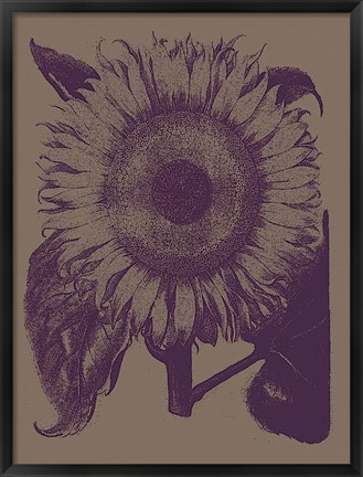 Framed Sunflower 14 Print