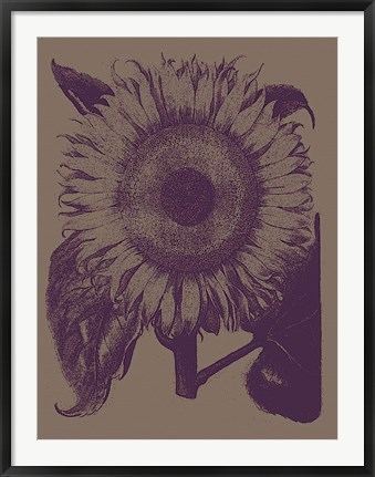 Framed Sunflower 14 Print