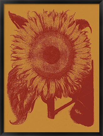 Framed Sunflower 15 Print