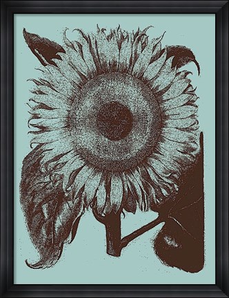 Framed Sunflower 18 Print