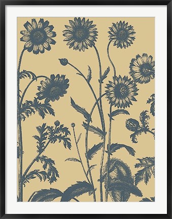Framed Chrysanthemum 1 Print