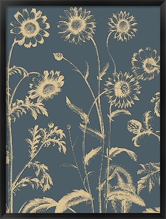 Framed Chrysanthemum 2 Print