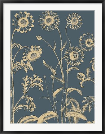 Framed Chrysanthemum 2 Print