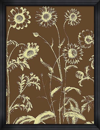 Framed Chrysanthemum 3 Print