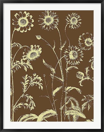 Framed Chrysanthemum 3 Print