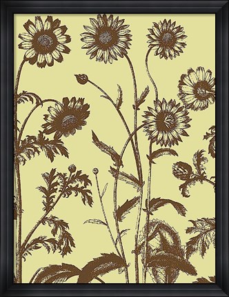 Framed Chrysanthemum 4 Print