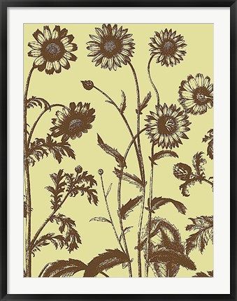 Framed Chrysanthemum 4 Print