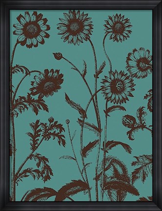 Framed Chrysanthemum 5 Print