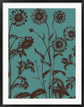 Framed Chrysanthemum 5 Print