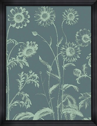 Framed Chrysanthemum 7 Print