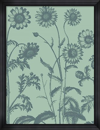 Framed Chrysanthemum 8 Print