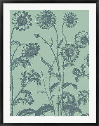 Framed Chrysanthemum 8 Print