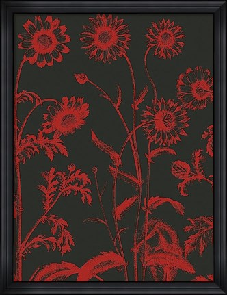 Framed Chrysanthemum 10 Print