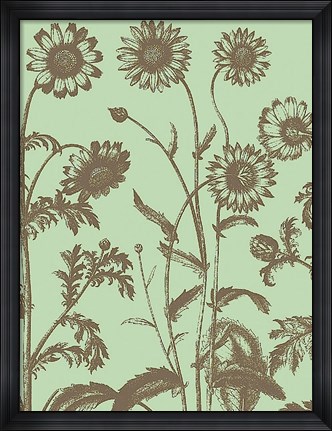 Framed Chrysanthemum 11 Print