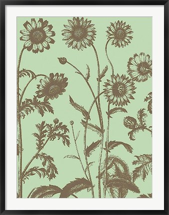 Framed Chrysanthemum 11 Print