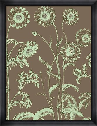 Framed Chrysanthemum 12 Print