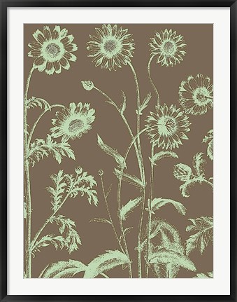Framed Chrysanthemum 12 Print