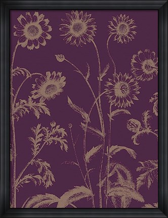 Framed Chrysanthemum 13 Print