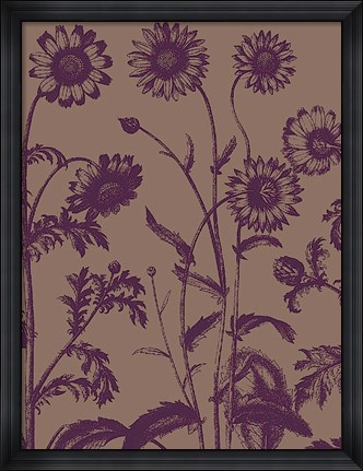 Framed Chrysanthemum 14 Print