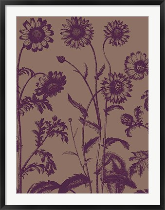 Framed Chrysanthemum 14 Print