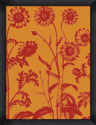 Framed Chrysanthemum 15 Print